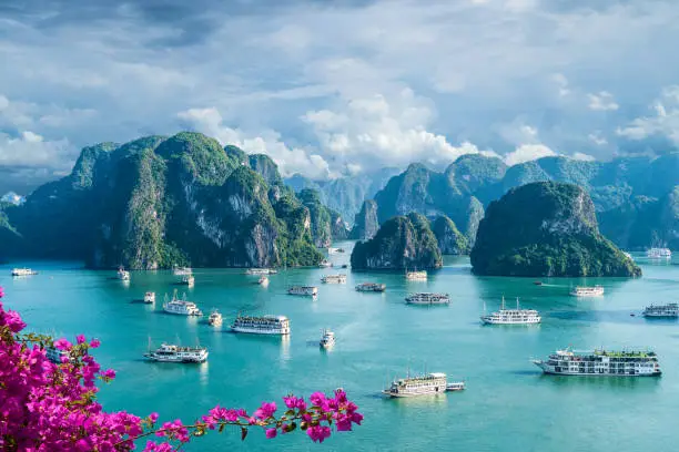 If You've Done Cape Town, It Might Be Time for Vietnam